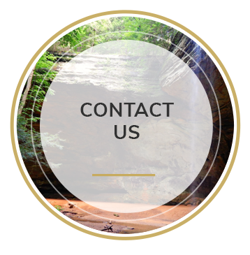 contact-us